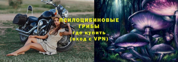 мяу мяу мука Сафоново