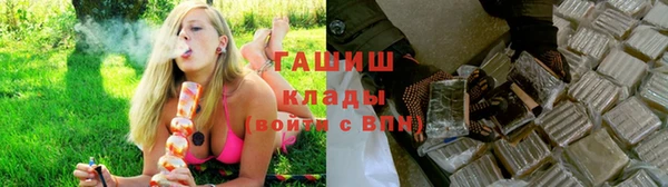 молекула духа Арсеньев